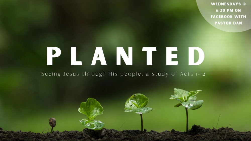 Planted