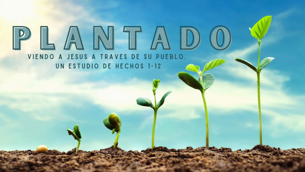 Plantado